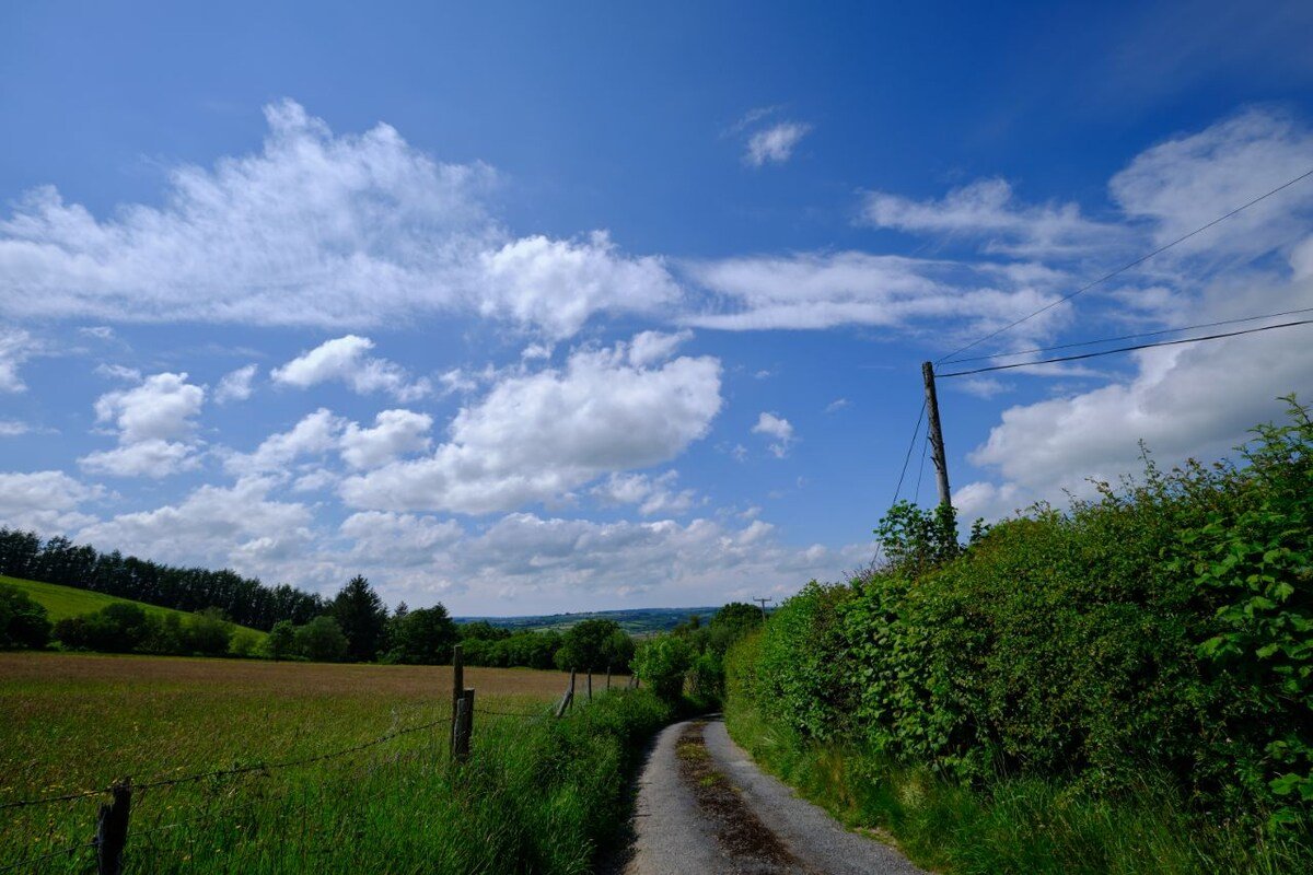 Country views
